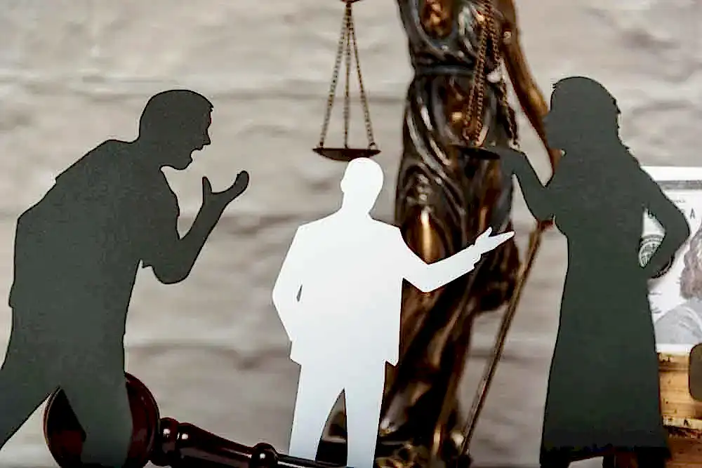 Türk Ceza Kanunu'nda Hakaret Sayılmayan Kelimeler 